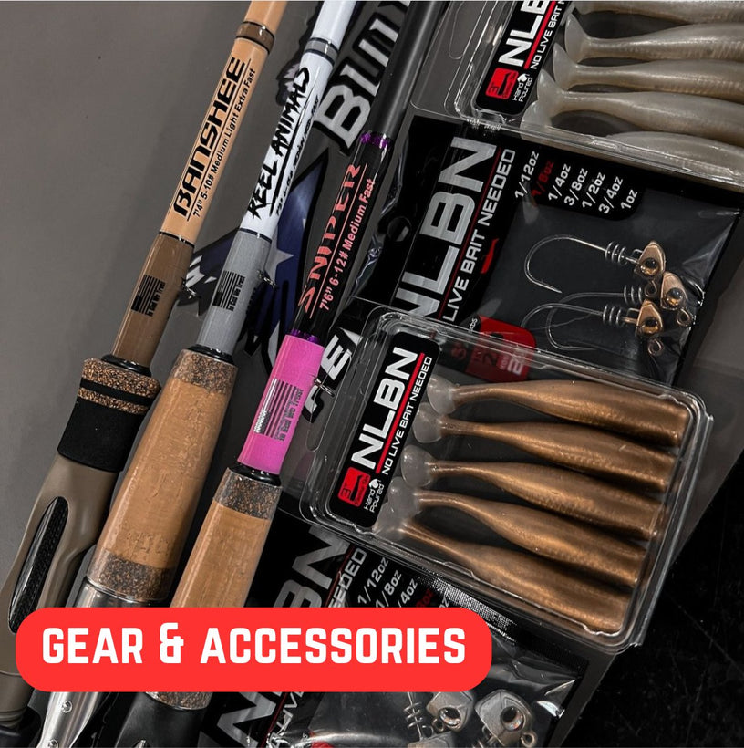 Gear &amp; Accessories